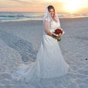 David’s Bridal Wedding Grown